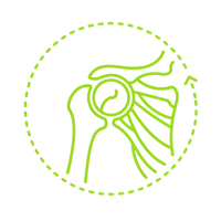 Clean line art icon, detailed biomechanical diagram of a human shoulder joint and scapula, showing a subtle circular or halo-like movement path around it. Focus on rotator cuff stability. Precise, scientific, minimalist, vector style. White background.